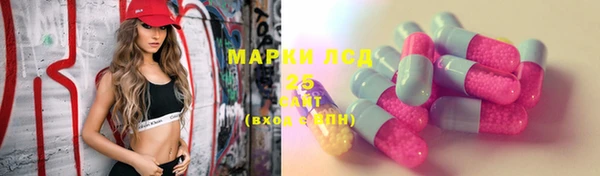 спайс Арсеньев