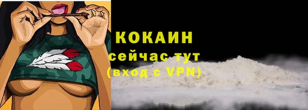 спайс Арсеньев