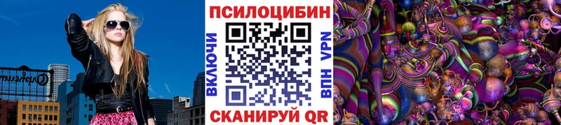Псилоцибиновые грибы Cubensis купить наркотики сайты Тутаев